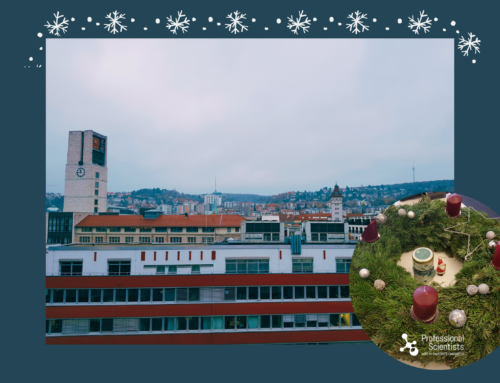 Musical attunement to the Advent season